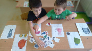IMG_20241021_110056.jpg
