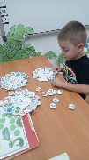 IMG_20241106_094258.jpg